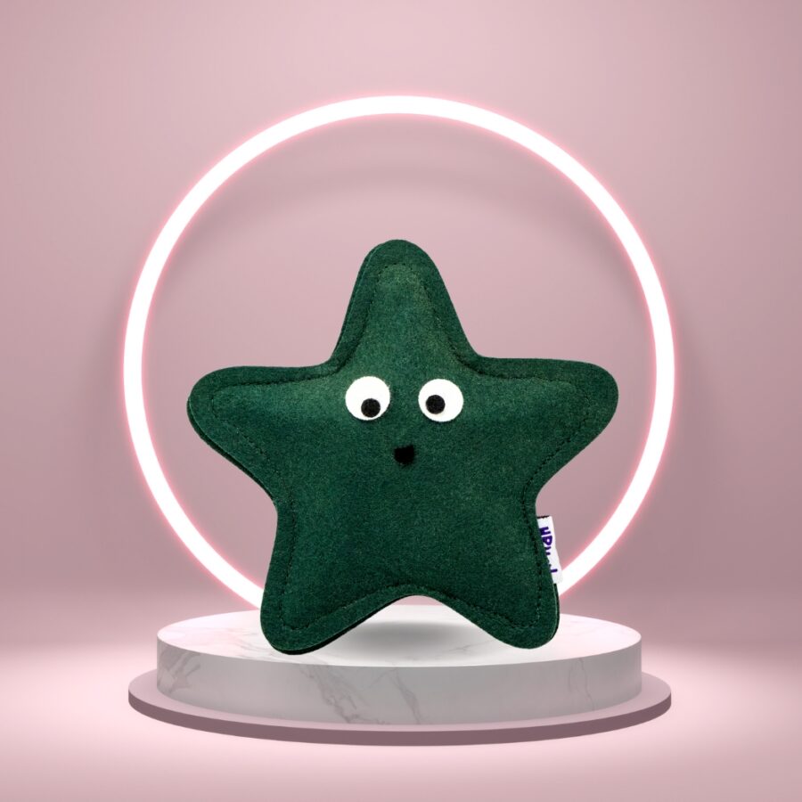 HRIKU CATNIP TOY SITARA (STAR) CATNIP TOY FOR CATS  - GREEN